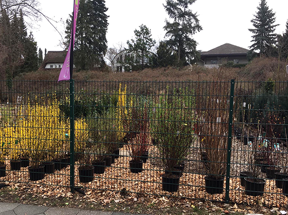 Baumschulware Glücksgarten