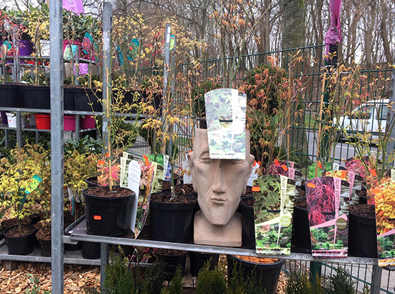 Baumschulware Glücksgarten