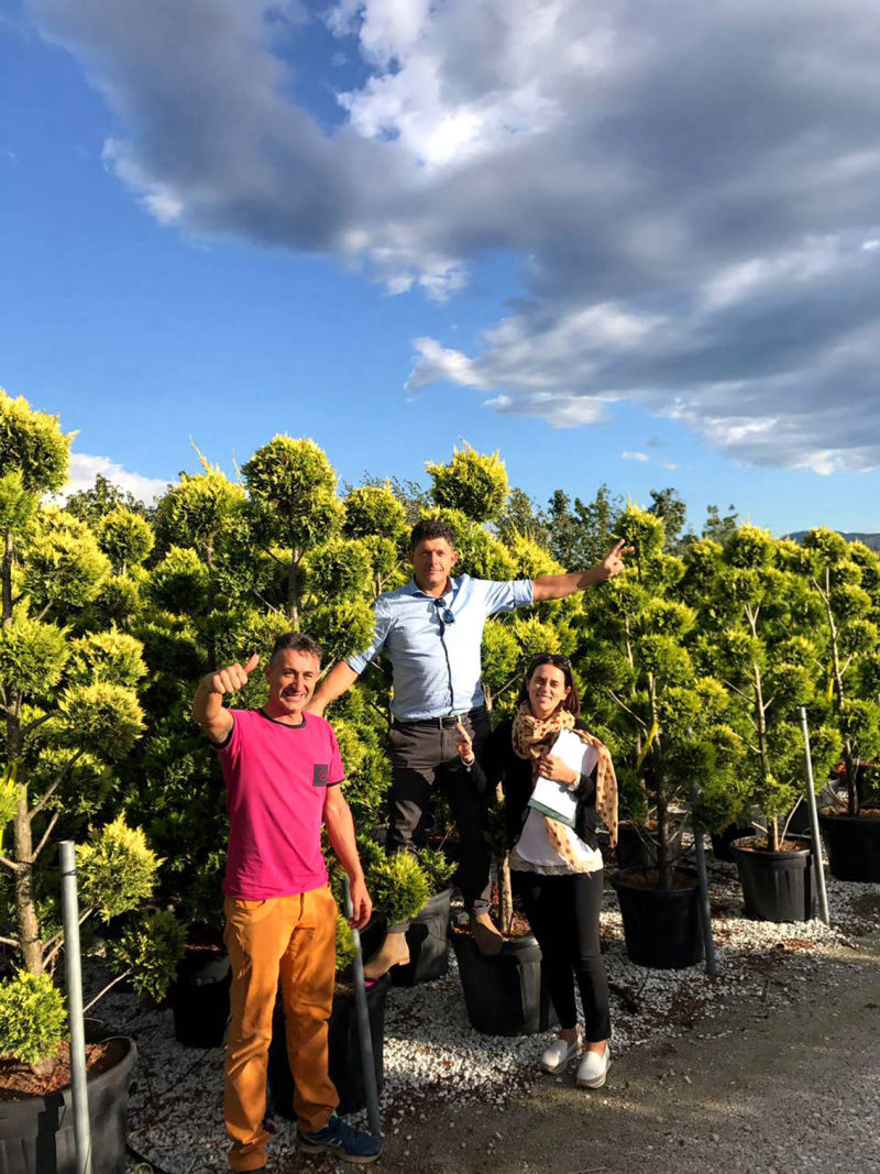 Pflanzen Glücksgarten