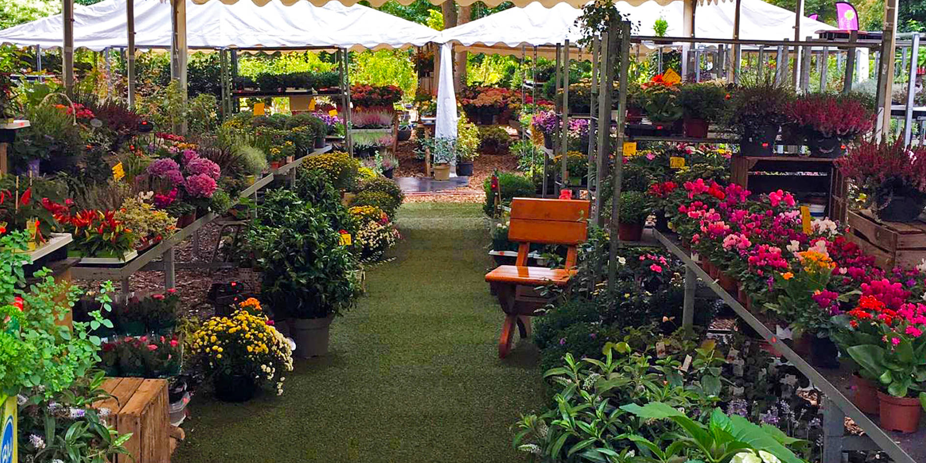 Pflanzenmarkt Gluecksgarten